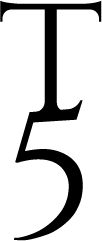 T5